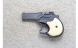 Hi-Standard ~ DM-101 Derringer ~ .22 Magnum - 2 of 3
