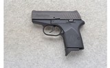 Remington ~ RM380 ~ .380 ACP - 2 of 2