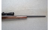 Weatherby ~ Vanguard ~ .270 WSM ~ Wisconsin Whitetail - 4 of 10