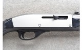 Remington ~ Nylon 66 ~ .22 LR - 3 of 10