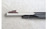 Remington ~ Nylon 66 ~ .22 LR - 6 of 10