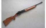 Remington ~ 7400 Carbine ~ .30-06 Sprg. - 1 of 10