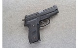 Sig Sauer ~ P229 ~ .40 S&W - 1 of 2