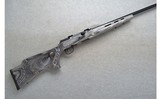 Savage ~ A17 ~ .17 HMR - 1 of 10