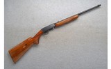 Browning ~ Automatic Rifle ~ .22 LR - 1 of 10