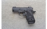 Kimber ~ Micro 9 ~ 9mm - 2 of 2