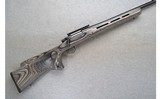 Remington ~ XR-100 ~ .22-250 Rem. - 1 of 10