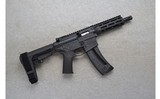 Smith & Wesson ~ M&P15-22P - 1 of 2