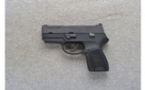 Sig Sauer ~ P250 ~ .40 S&W - 2 of 2