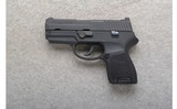 Sig Sauer ~ P250 ~ 9mm - 2 of 2