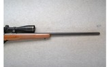 CZ ~ 527 Varmint ~ .204 Ruger - 4 of 10