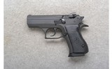 Magnum Research (IWI) ~ Desert Eagle ~ 9mm - 2 of 2