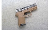 Sig Sauer ~ P320 ~ 9mm - 1 of 2
