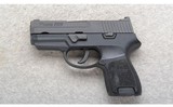 Sig Sauer ~ P250 ~ .45 ACP - 2 of 2