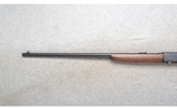 Remington ~ 24 ~ .22 LR - 7 of 10
