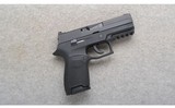 Sig Sauer ~ P250 ~ 9mm - 1 of 2