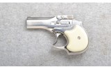 High Standard ~ Derringer ~ .22 Magnum - 2 of 2