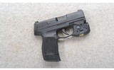 Sig Sauer ~ P365 ~ 9mm - 1 of 2