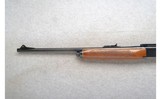 Remington ~ 742 ~ .30-06 Sprg. - 7 of 10
