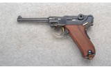 Waffenfabrik Bern ~ Swiss Luger ~ .30 Luger - 2 of 5