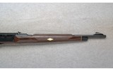 Remington ~ Nylon 66 ~ .22 LR - 4 of 10