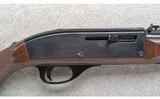 Remington ~ Nylon 66 ~ .22 LR - 3 of 10