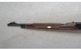 Remington ~ Nylon 66 ~ .22 LR - 7 of 10