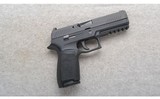 Sig Sauer ~ P320 ~ 9mm - 1 of 2
