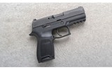 Sig Sauer ~ P320 ~ .45 ACP - 1 of 2