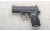 Sig Sauer ~ P320 ~ .45 ACP - 2 of 2