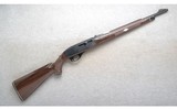 Remington ~ Nylon 66 ~ .22 LR - 1 of 10