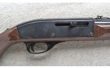 Remington ~ Nylon 66 ~ .22 LR - 3 of 10