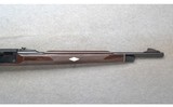 Remington ~ Nylon 66 ~ .22 LR - 4 of 10