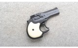 High Standard ~ Derringer ~ .22 Magnum - 1 of 2