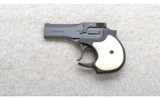 High Standard ~ Derringer ~ .22 Magnum - 2 of 2