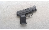Sig Sauer ~ P365 ~ 9mm - 1 of 2