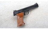 Smith & Wesson ~ 46 ~ .22 LR