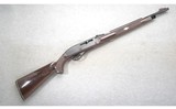 Remington ~ Nylon 66 ~ .22 LR - 1 of 10