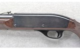 Remington ~ Nylon 66 ~ .22 LR - 8 of 10