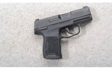 Sig Sauer ~ P365 ~ 9mm - 1 of 2