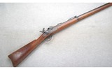 Springfield ~ U.S. Model 1884 ~ .45-70 Gov't. - 1 of 10