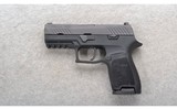 Sig Sauer ~ P320 ~ 9mm - 2 of 2
