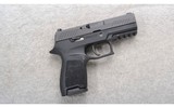 Sig Sauer ~ P320 ~ 9mm