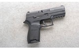 Sig Sauer ~ P320 ~ 9mm - 1 of 2