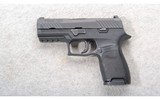 Sig Sauer ~ P320 ~ 9mm - 2 of 2