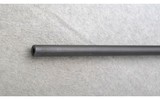 Remington ~ 700 ~ .30-06 Sprg. - 6 of 10