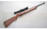 Ruger ~ 10/22 Carbine ~ .22 LR - 1 of 10