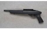 Ruger ~ 22 Charger ~ .22 LR - 2 of 2