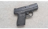 Smith & Wesson ~ M&P 9 Shield M2.0 ~ 9mm