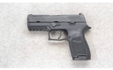 Sig Sauer ~ P320 ~ .45 ACP - 2 of 2